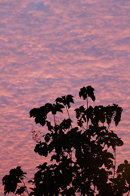 Yangon-coucher de soleil-002